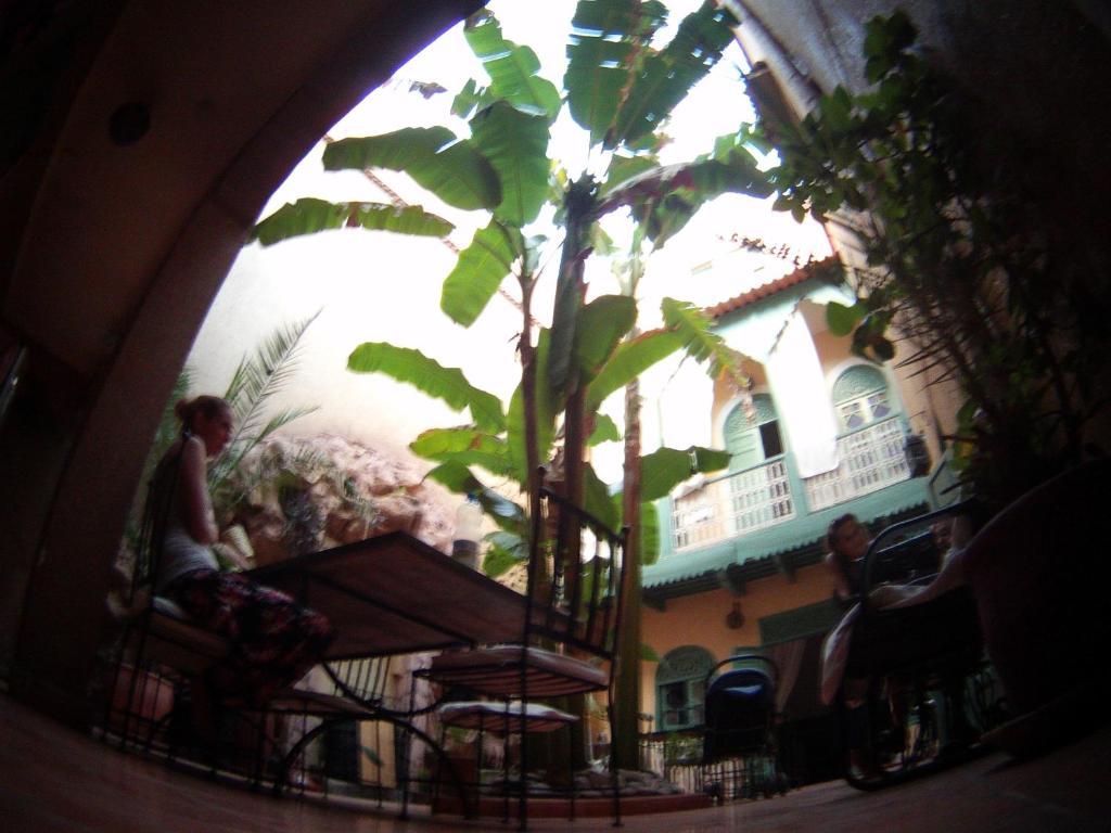 Riad Dar Mchicha Marrakesh Eksteriør billede