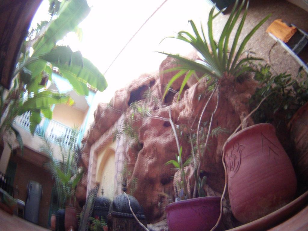 Riad Dar Mchicha Marrakesh Eksteriør billede