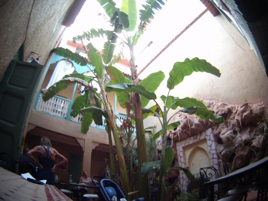 Riad Dar Mchicha Marrakesh Eksteriør billede