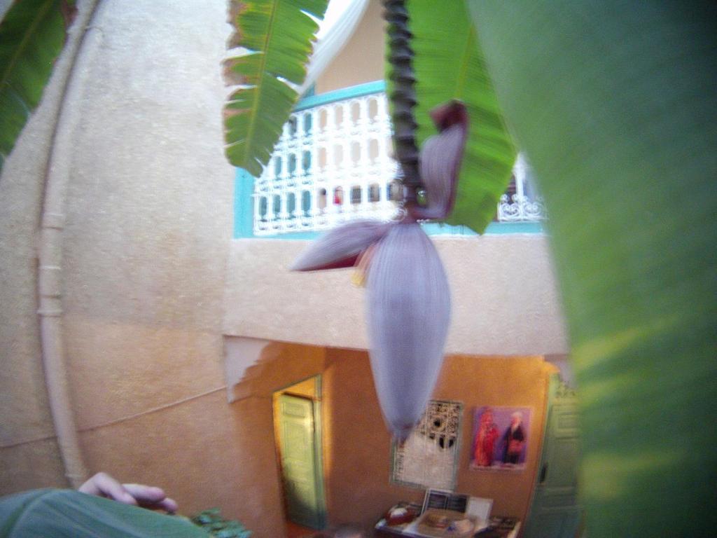 Riad Dar Mchicha Marrakesh Eksteriør billede