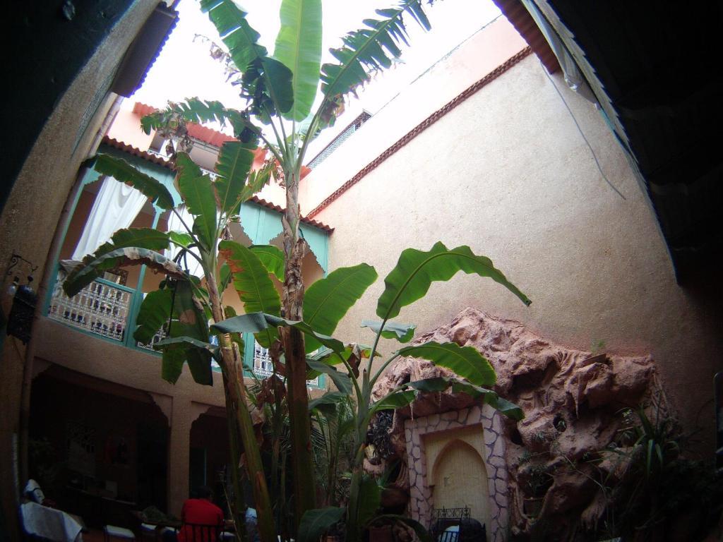 Riad Dar Mchicha Marrakesh Eksteriør billede