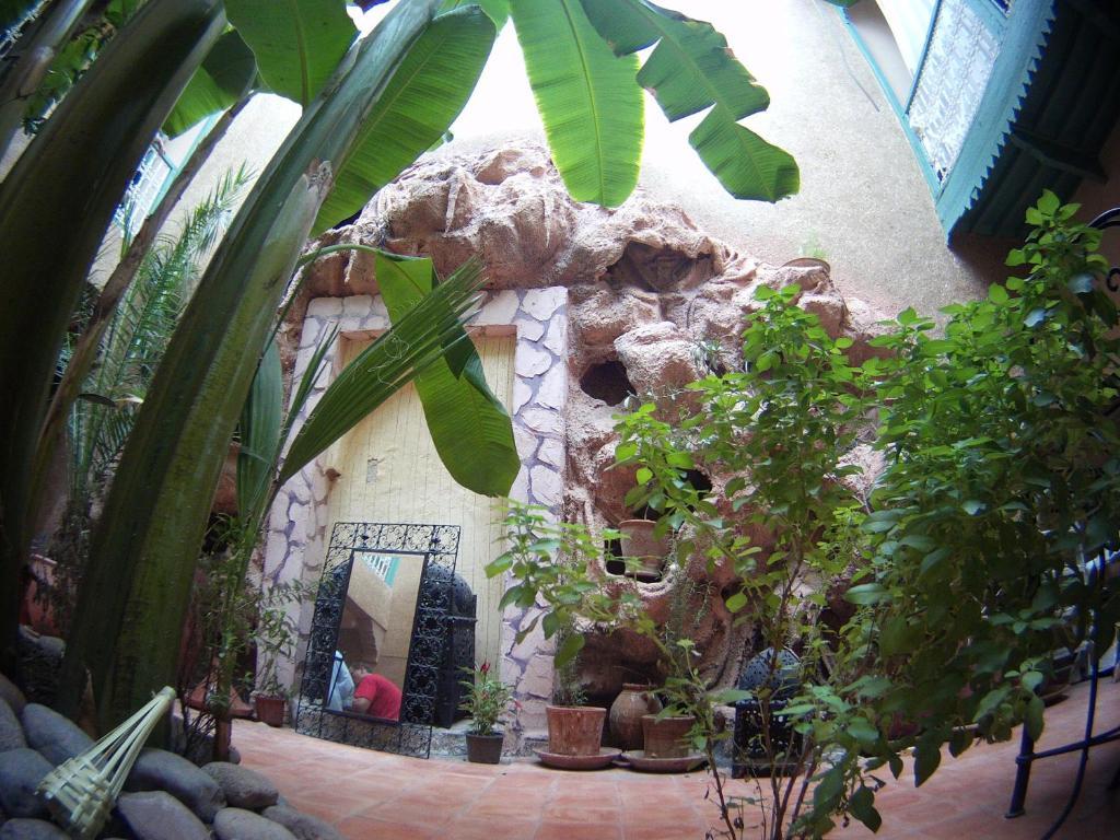 Riad Dar Mchicha Marrakesh Eksteriør billede